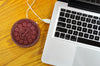 Hot Cookie USB Cup Warmer - Mustard