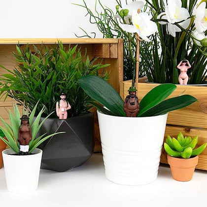 Mini Plant Pot Gnomes - Nudie Rudies - Gift Republic
