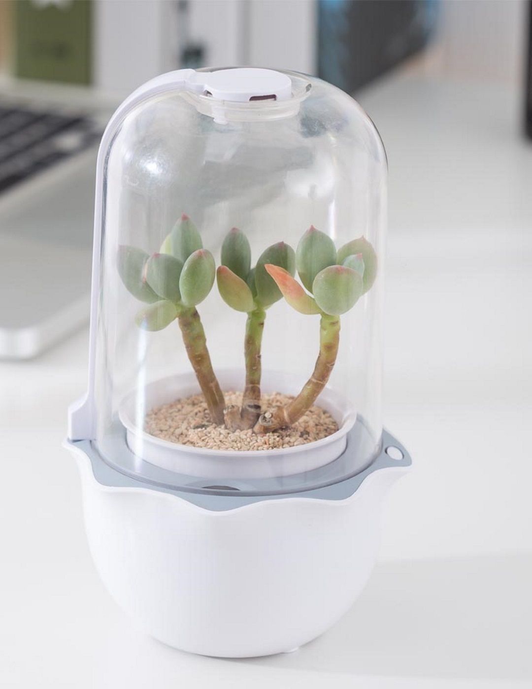 Mr Fothergills: Grow Pod - Desktop Garden
