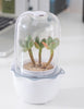 Mr Fothergills: Grow Pod - Desktop Garden