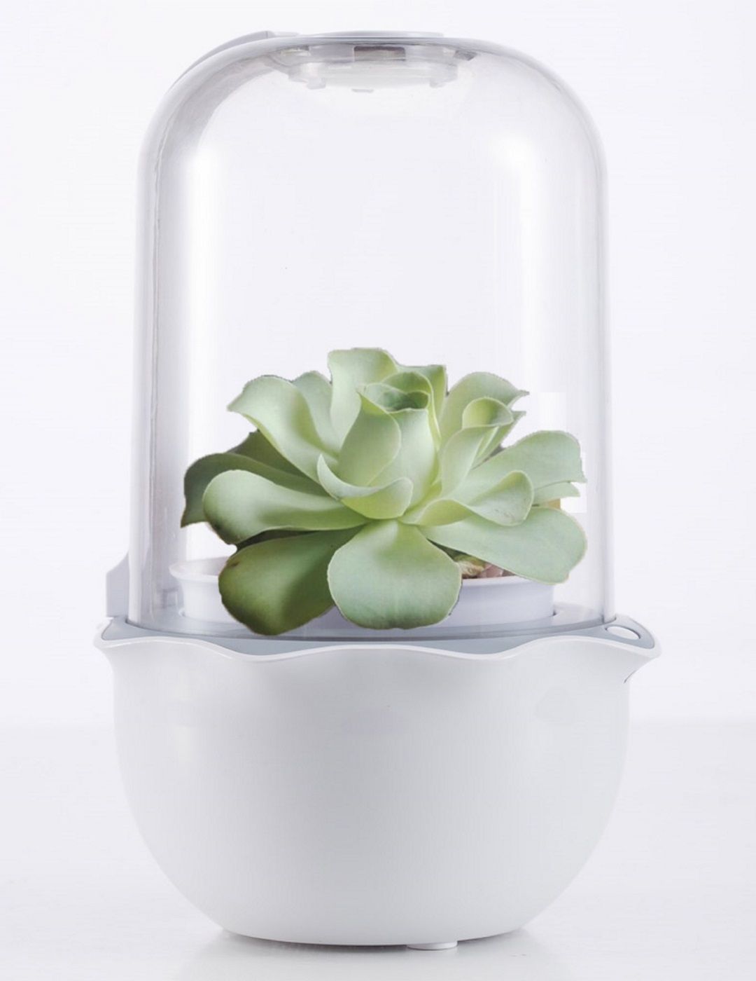 Mr Fothergills: Grow Pod - Desktop Garden