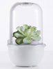 Mr Fothergills: Grow Pod - Desktop Garden