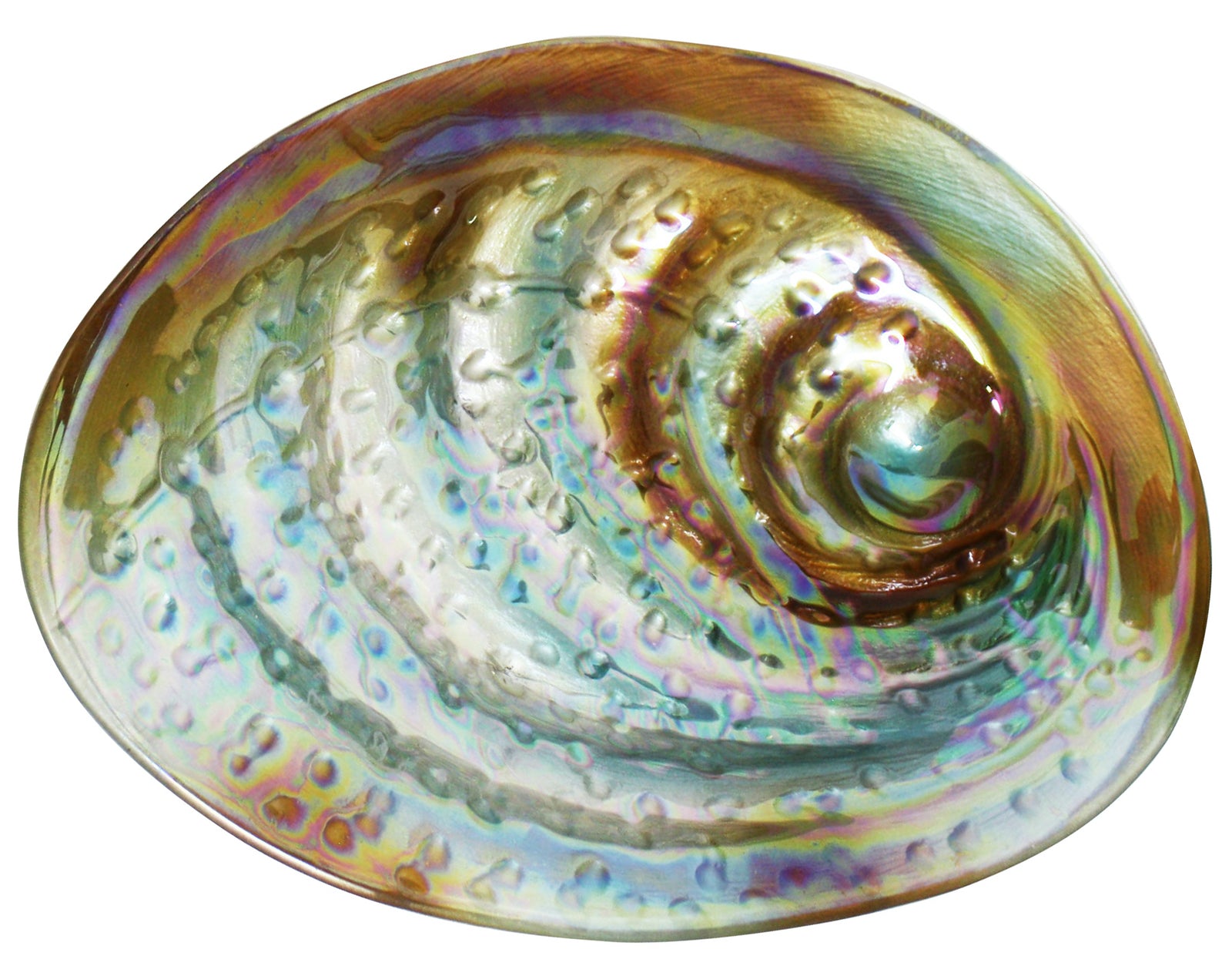Moana Road: Paua Bowl - Glass (43cm)