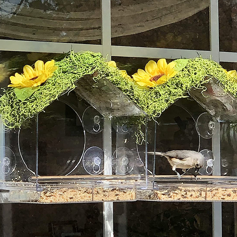 Hanging Acrylic Bird Feeder