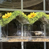 Hanging Acrylic Bird Feeder