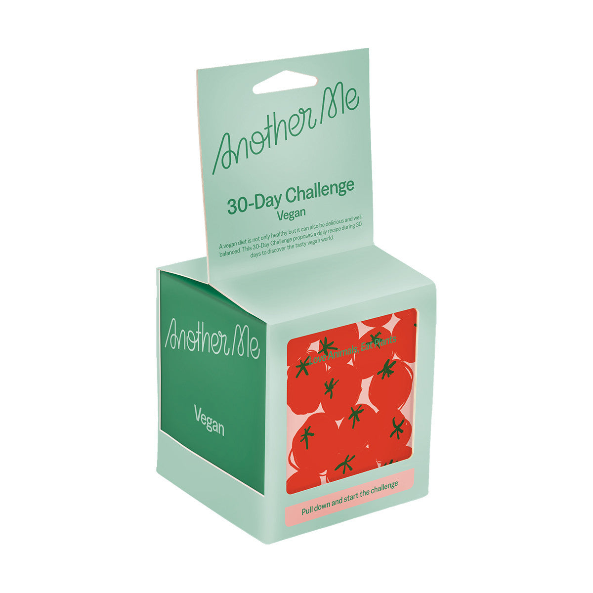 30 Day Challenge Activity Box - Vegan - Another Me