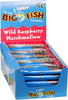 Rainbow Confectionery: Big Chocolate Fish Wild Raspberry Box - 50g (Pack of 20)