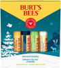 Burt's Bees: Lip Balm (4 Pack) - Assorted