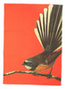 100% NZ: Bright Fantail - Tea Towel
