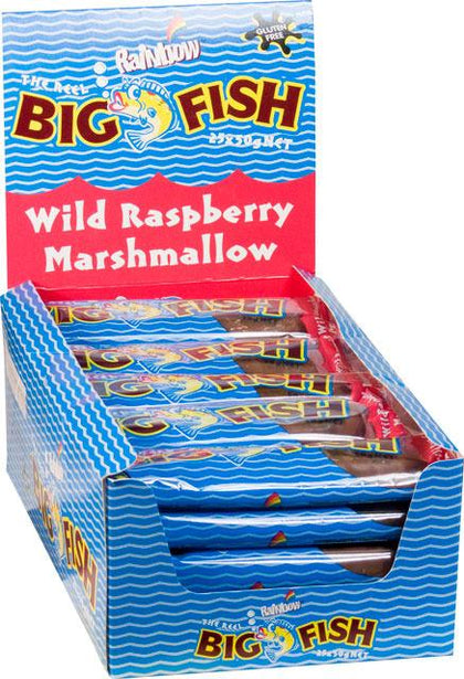 Rainbow Confectionery: Big Chocolate Fish Wild Raspberry Box - 50g (Pack of 20)