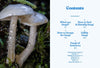Fungi of Aotearoa by Liv Sisson