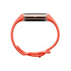 Fitbit Charge 6 Fitness Watch - Gold/Red