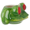 Tree Frog Head Ceramic Shaped Mug (500ml)