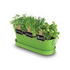 Mr Fothergills: Kitchen Herbs - Windowsill Tin