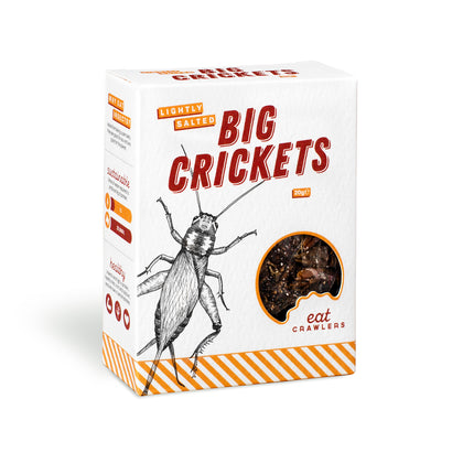 Eat Crawlers: Lightly Salted Big Crickets (20g)