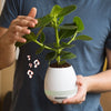 Thumbs Up: Plant Pot Speaker - Thumbs Up!