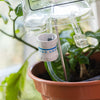 Bubblegum Stuff: Plant Life Support