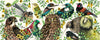 CuppaCoffeeCup: Travel Mug - Lovelis Birds of NZ (350ml)