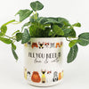 Urban Products: Quirky Cat Planter - Large