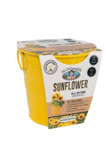 Mr Fothergill's: Sunflower - Round Grow Kit Tin - Mr Fothergills