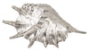 Society Home: Alu Shell Sculpture - Silver