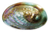 Moana Road: Paua Bowl - Glass (20cm)