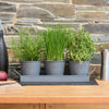 Indoor Metal Plant Herb Pots and Tray - Charcoal Grey