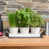 Indoor Metal Plant Herb Pots and Tray - Chalk white