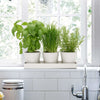 Indoor Metal Plant Herb Pots and Tray - Chalk white