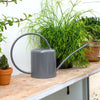 Indoor Plant Watering Can 1.4L Coloured Galvanised Steel - Charcoal Grey