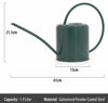 Indoor Plant Watering Can 1.4L Coloured Galvanised Steel - Green