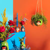 Sass & Belle: Floral Frida Hanging Planter