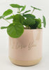 Urban Products: I Love You Planter Pink & Sand (13cm)