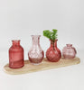 Urban Products: Micah Glass Vase Set - Pink