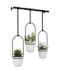 Umbra: Triflora Hanging Planter - White/Black