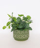 Urban Products: Laurie Planter - Green