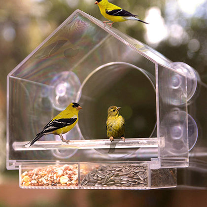 Hanging Acrylic Bird Feeder