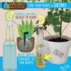 Wicked Waterer Indoor Plant Care Kit - Mayhem UK