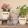 Wood Planter - Party Thyme - Santa Barbara Design Studio