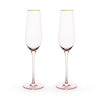 Rose Crystal Champagne Flute - Twine