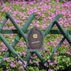 GREENHAVEN Fairy Door and Windows Set for Trees
