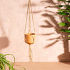 Sass & Belle: Macrame Plant Hanger - Terracotta (Small)