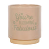 'You're Blooming Fabulous' Plant Pot