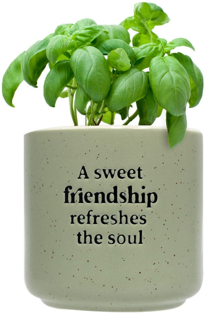 Splosh: Positive Pot - Friendship (10cm)