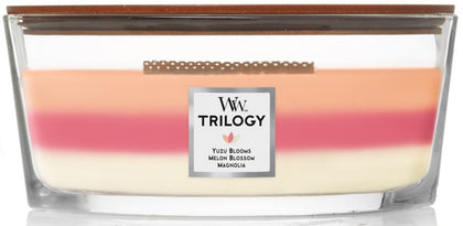 WoodWick: Ellipse Candle - Blooming Orchard Trilogy
