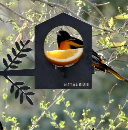 MetalBird Bird Feeder