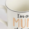 Sass & Belle: I'm A Mum Mug
