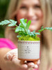 Natural Life: Mini Artisan Planter - Mom