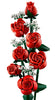 LEGO Botanicals: Bouquet of Roses - (10328)