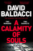 A Calamity of Souls by David Baldacci